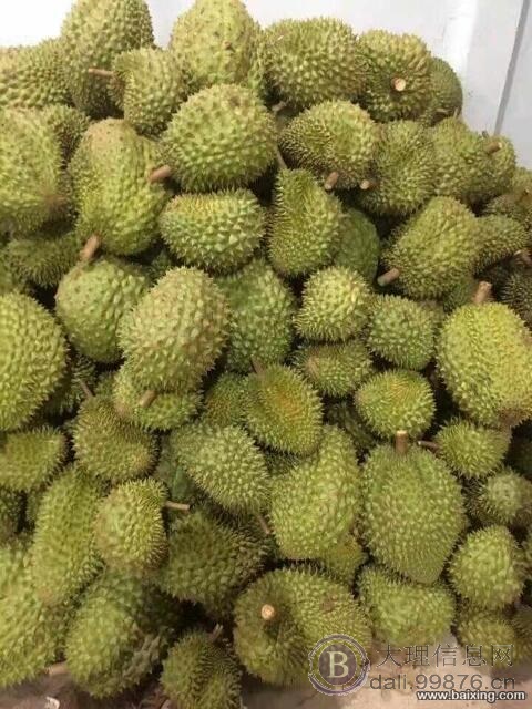 越南进口各种水果批发代收报关,荔枝,柠檬,火龙果,