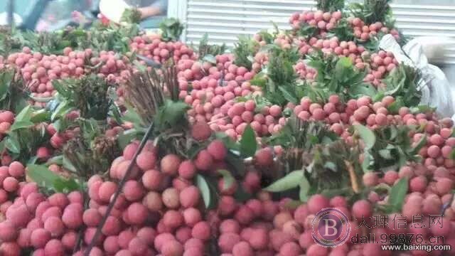 越南进口各种水果批发代收报关,荔枝,柠檬,火龙果,