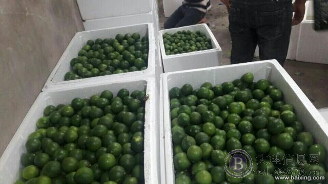 越南进口各种水果批发代收报关,荔枝,柠檬,火龙果,