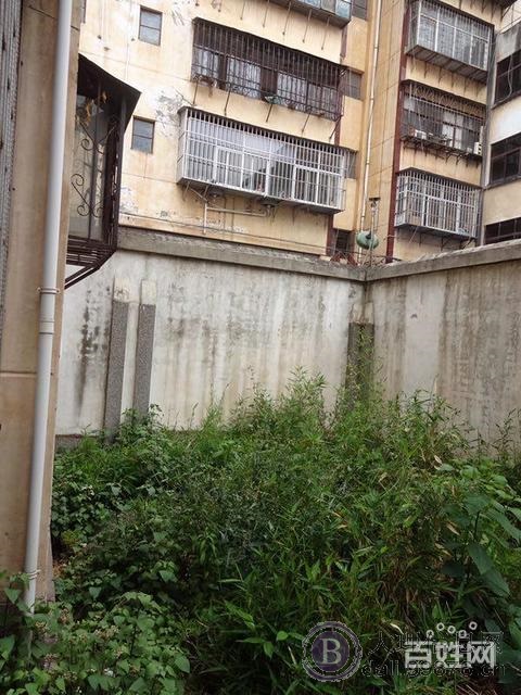 开发区建材市场金星花园3室精装修带花园67万急售